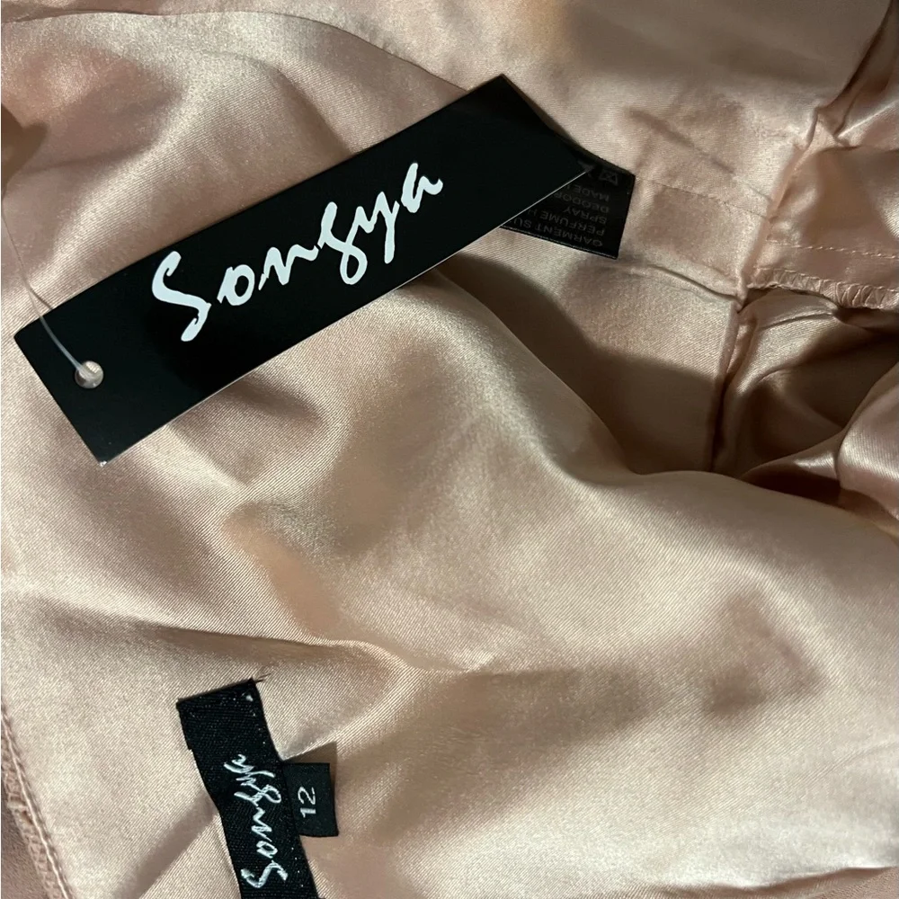 Sonsiya Blush Pink Lace Chiffon Maxi Dress Size 12 Formal Gown NWT - Picture 12 of 12